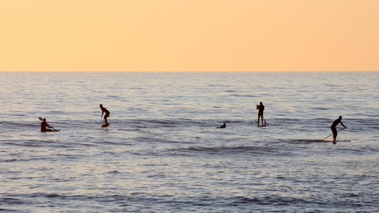 Foiling Etiquette with Foil Drive