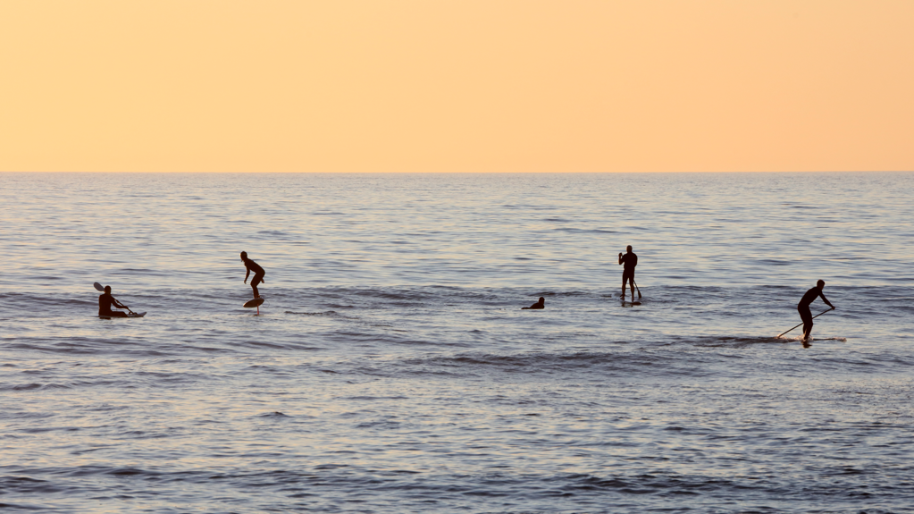 Surf Etiquette with Foil Drive