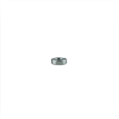 Stainless Steel Bearing