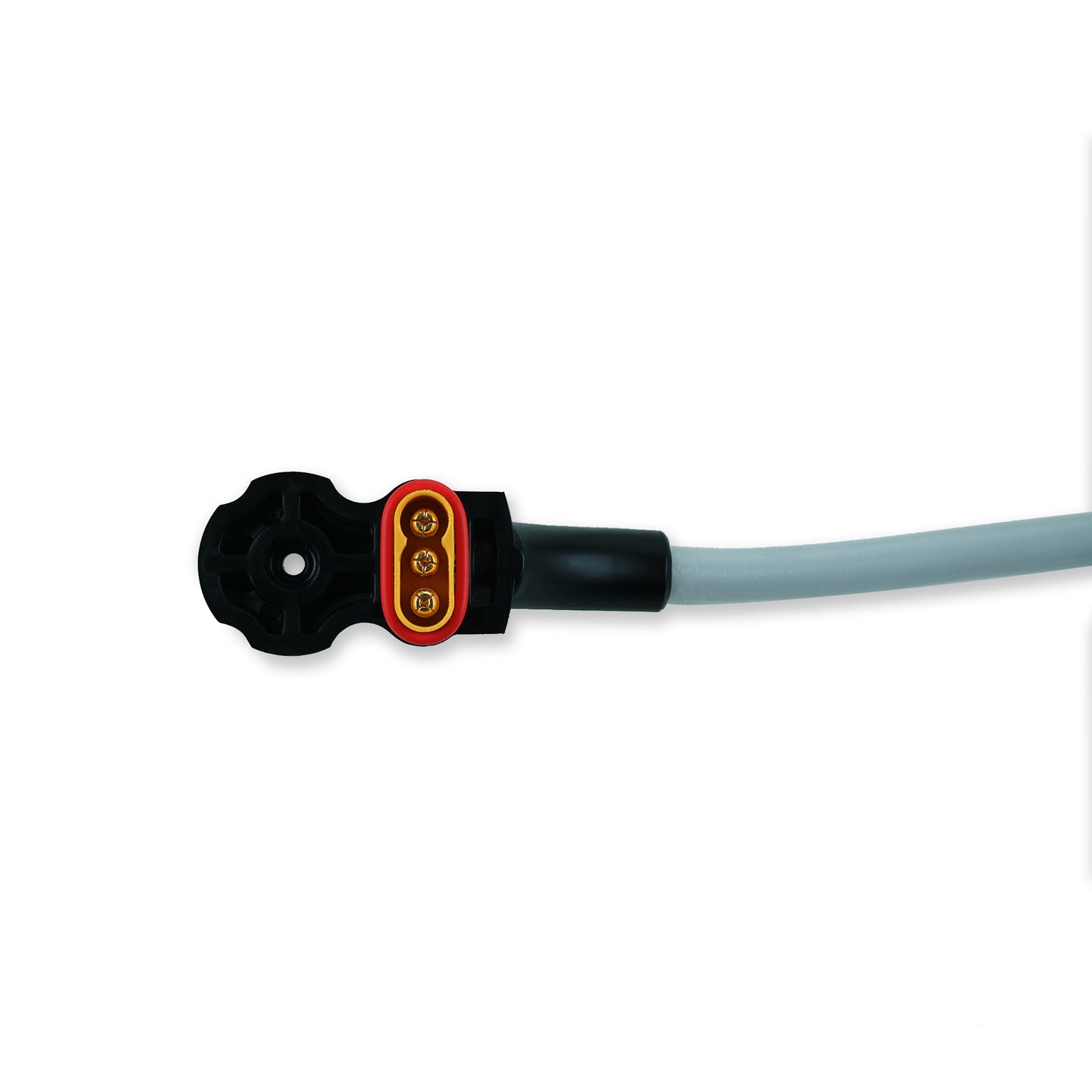 Removable v2 Motor Cable